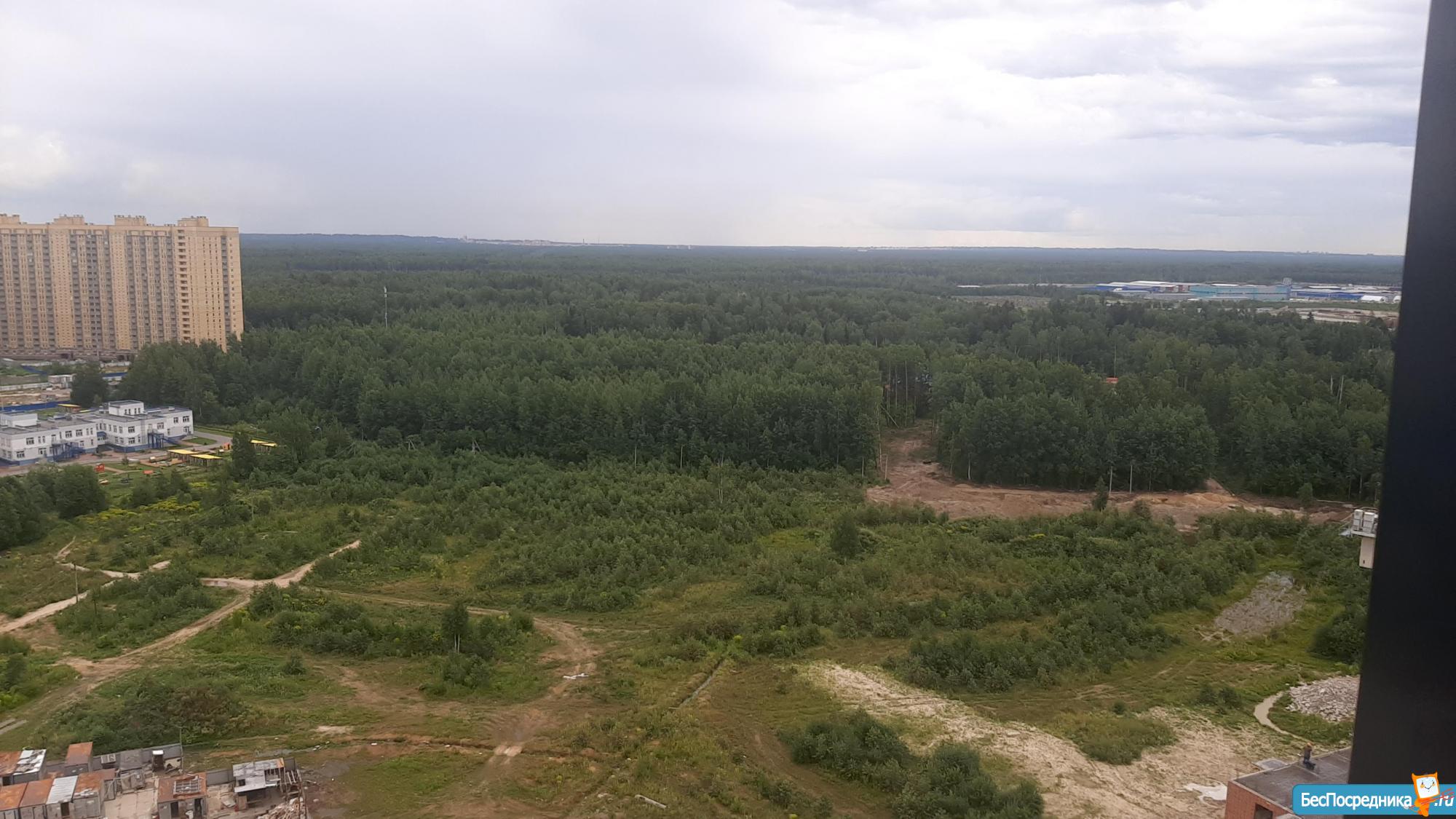 новое девяткино санкт петербург